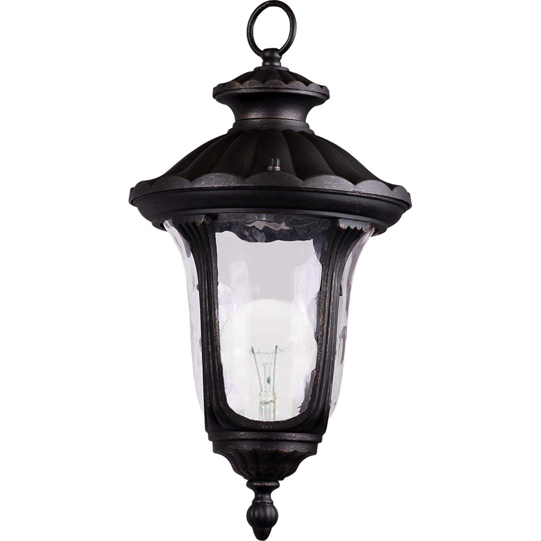 Ilene Hanging Coach Light - Classic Exterior in Matte Black