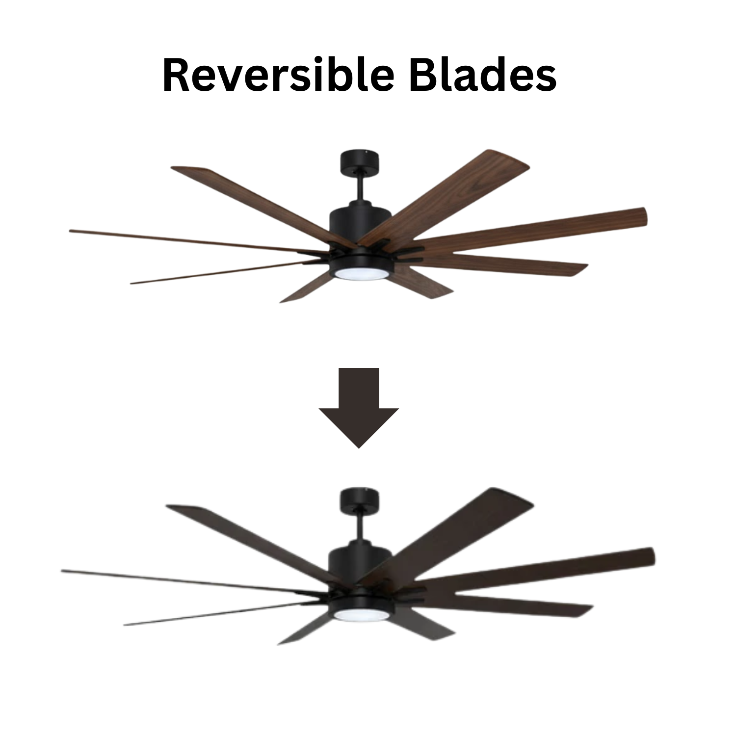 8-Blade 66" Fan Matte Black/Walnut Blades 20W LED 3K,4K,5K - Sophisticated Indoor Fans in Matte Black