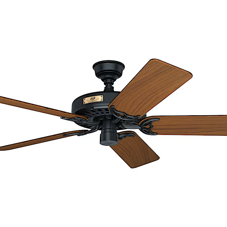 Hunter Original 52-Inch Outdoor Ceiling Fan with Original Teak Blades — Rubbed Bronze Finish