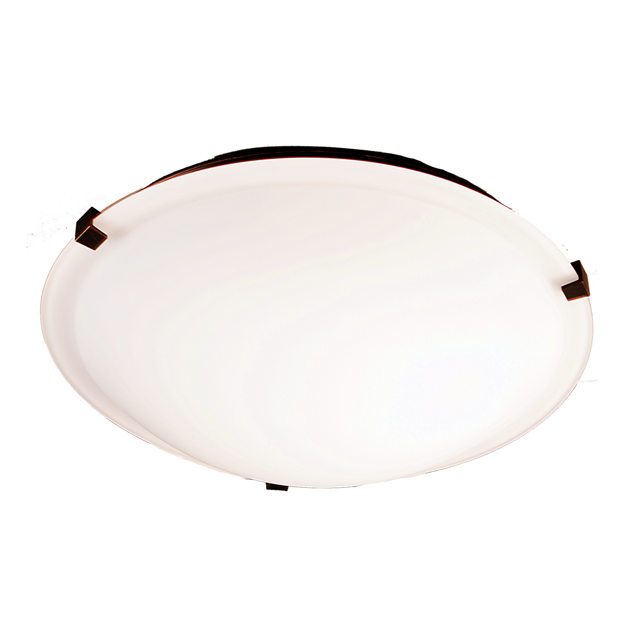 2 light flush mount ceiling light