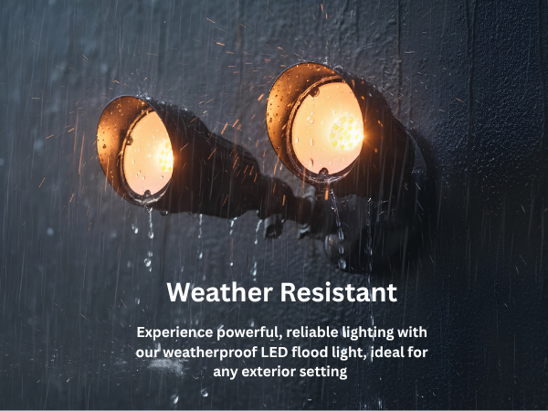 LED-Double Flood-Matte Black-20W 3000K - Architectural-Inspired Flood Lights