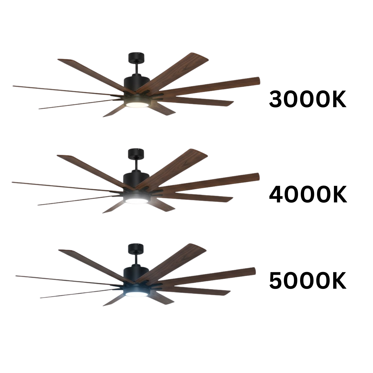 8-Blade 66" Fan Matte Black/Walnut Blades 20W LED 3K,4K,5K - Sophisticated Indoor Fans in Matte Black