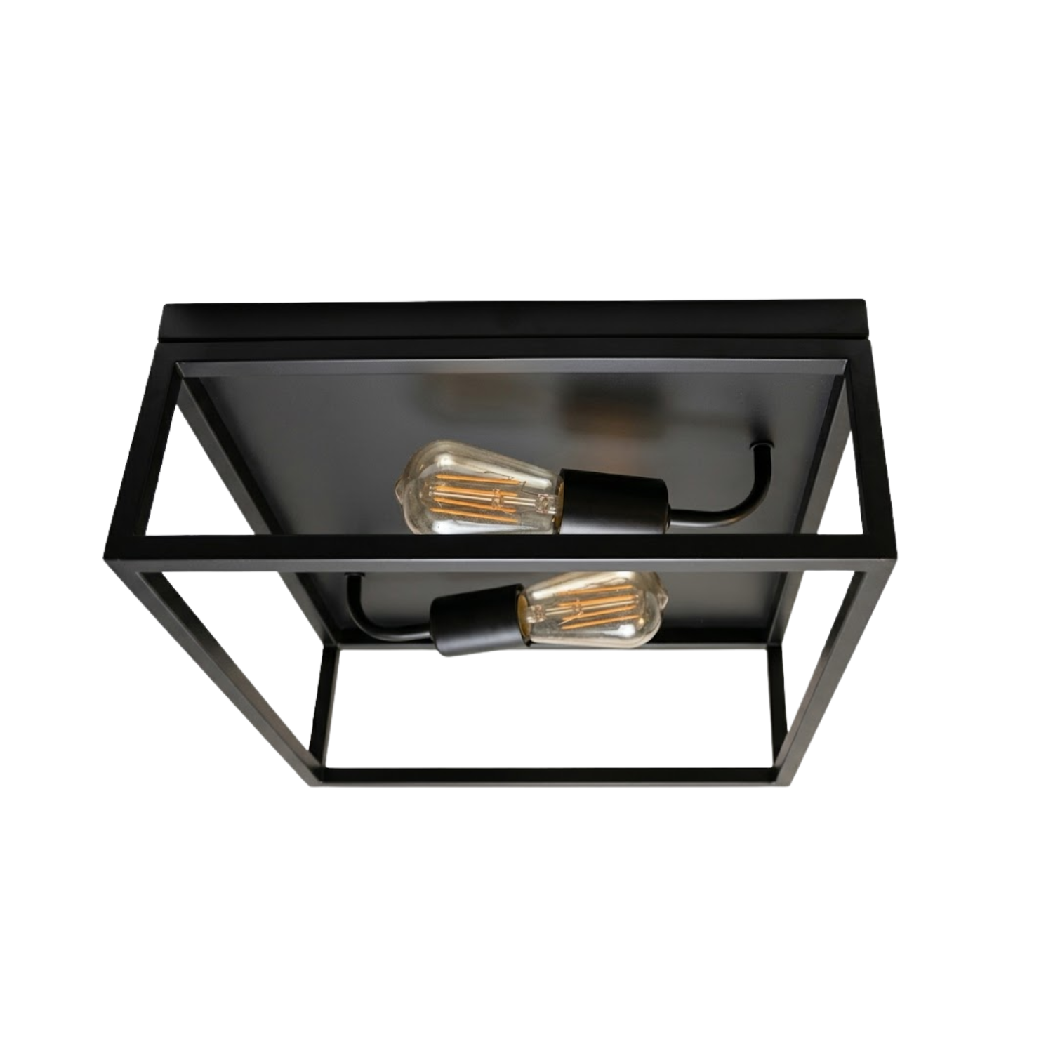 Vincent 2-Light Open Square Ceiling Mount - Functional Ceiling Mounts in Matte Black