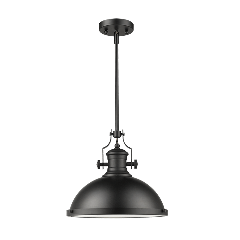 1 light Modern black pendant light 